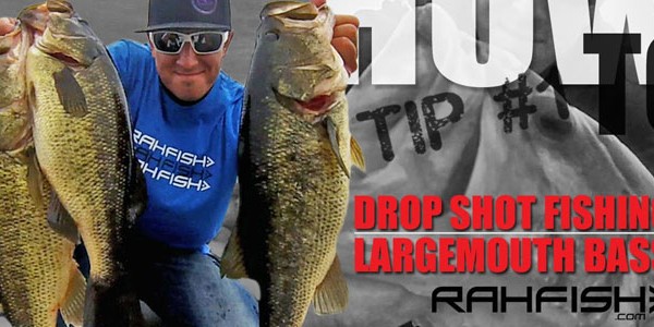 How To Tip#1 – Drop Shot Fishing for Largemouth Bass