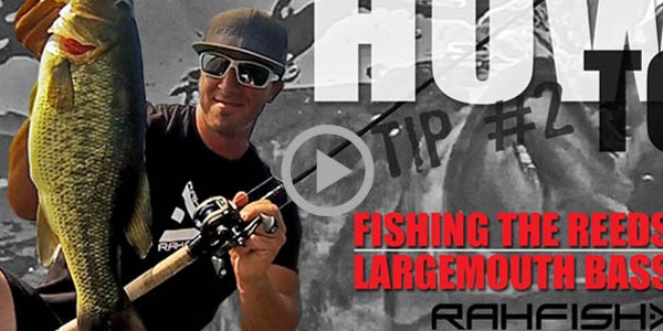 How To Tip #2 – Flipping reeds for largemouth