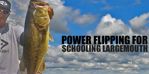 Power flipping for schooling largemouth bass