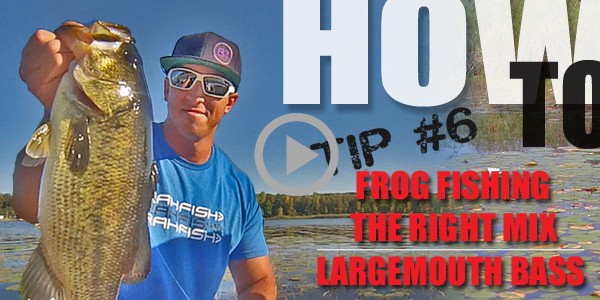 How To Tip #6 – Best frog fishing conditions